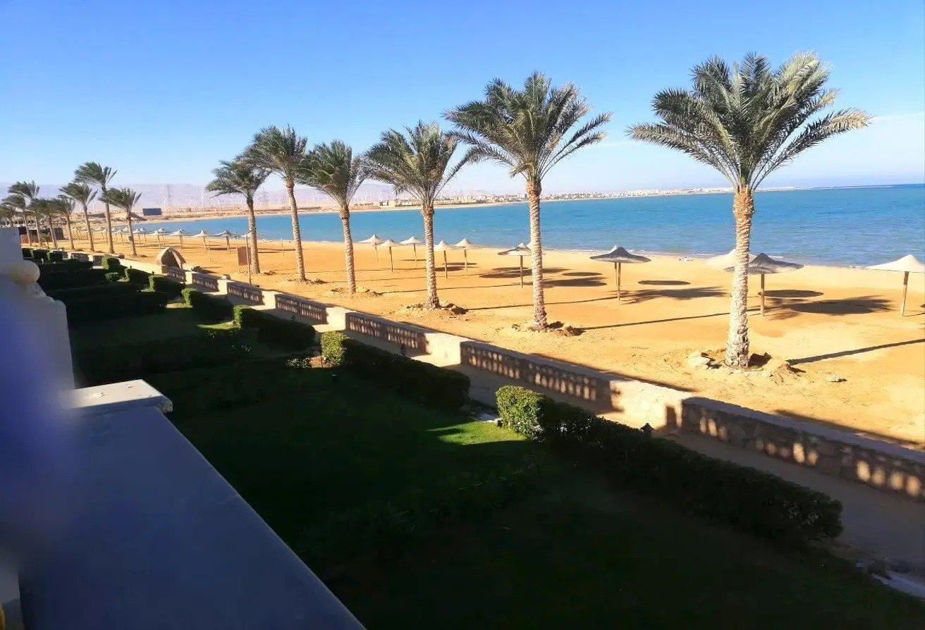 Palm-lined beachfront walkway at Bellagio Azure