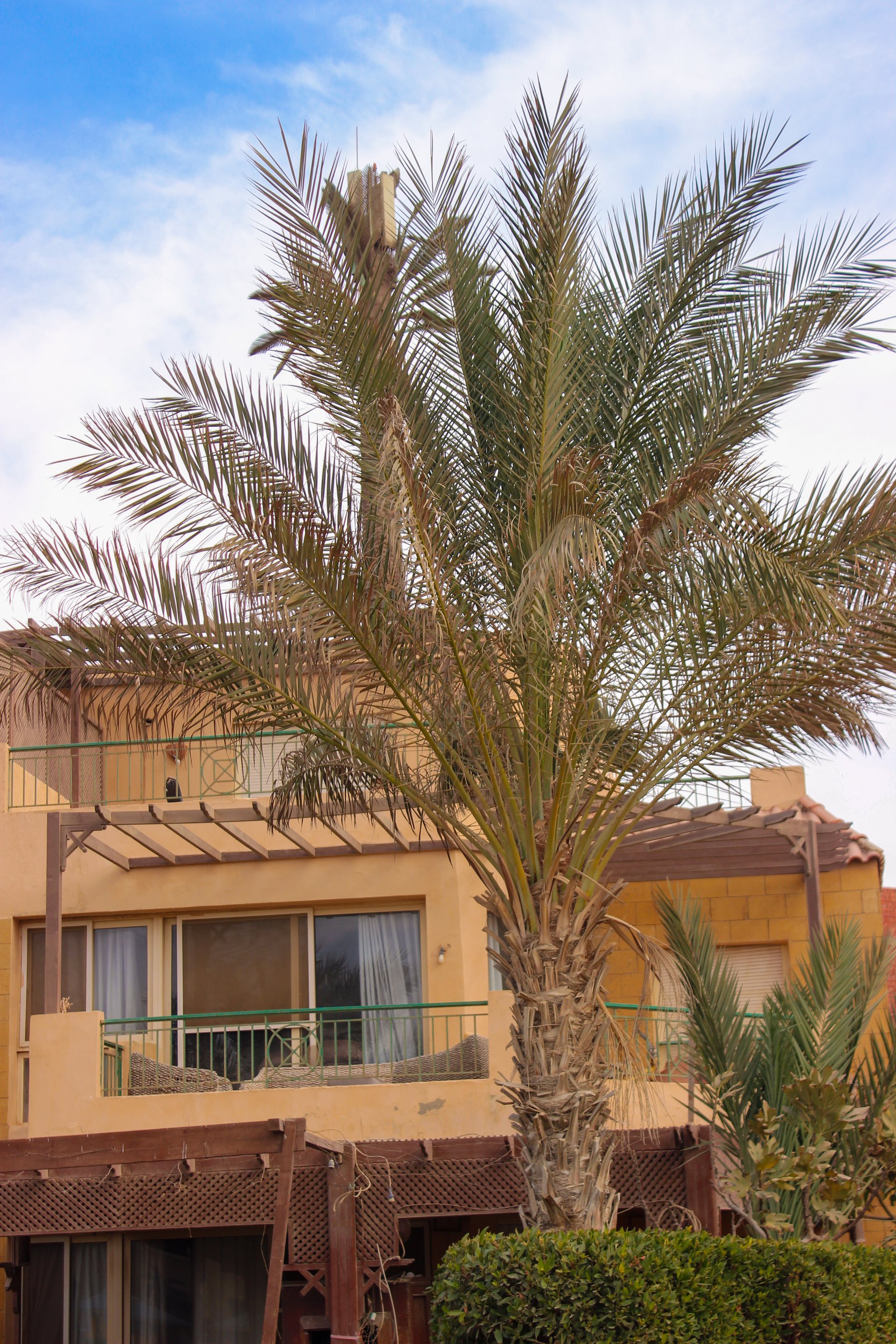 La Luna Azure coastal residences at sunset